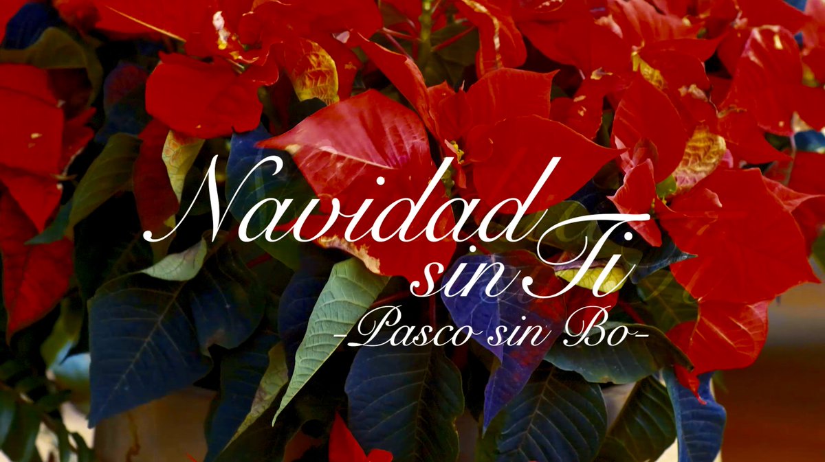 Navidad Sin Ti / Pasco Sin Bo...by Nico Connor.