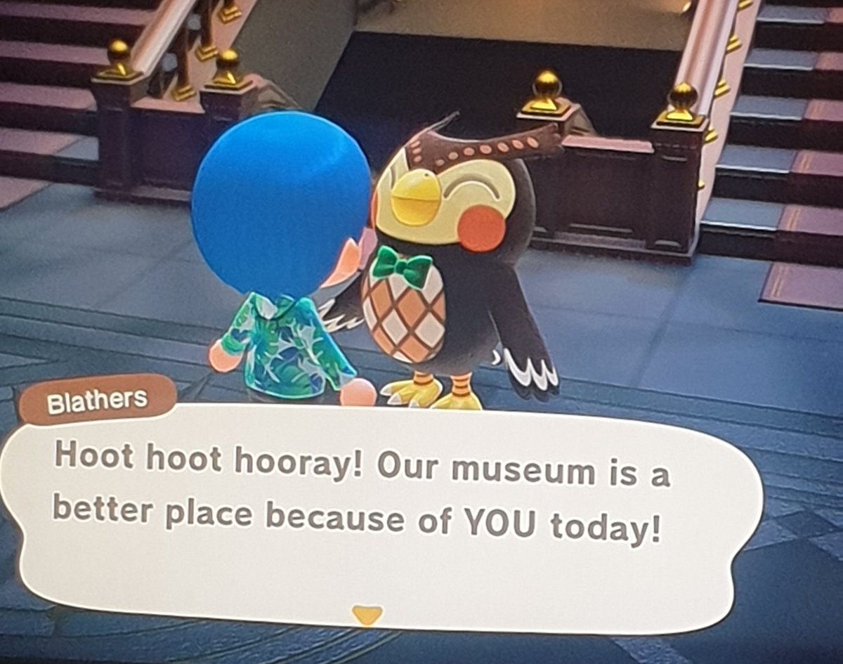 batdrawer1's tweet photo. Everyone needs a Blathers. https://t.co/HGQIAuXEHX