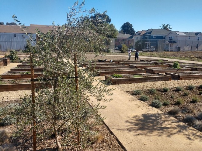 A new central kitchen nearing completion at <a href="/OUSDNews/">ousdnews</a> will serve up to 35K students a day w/ fresh-cooked meals, designed to enhance student health &amp; wellness. Included is a #farm to educate students about locally grown food &amp; nutrition. #ThankYouThursday #MovingFamiliesForward