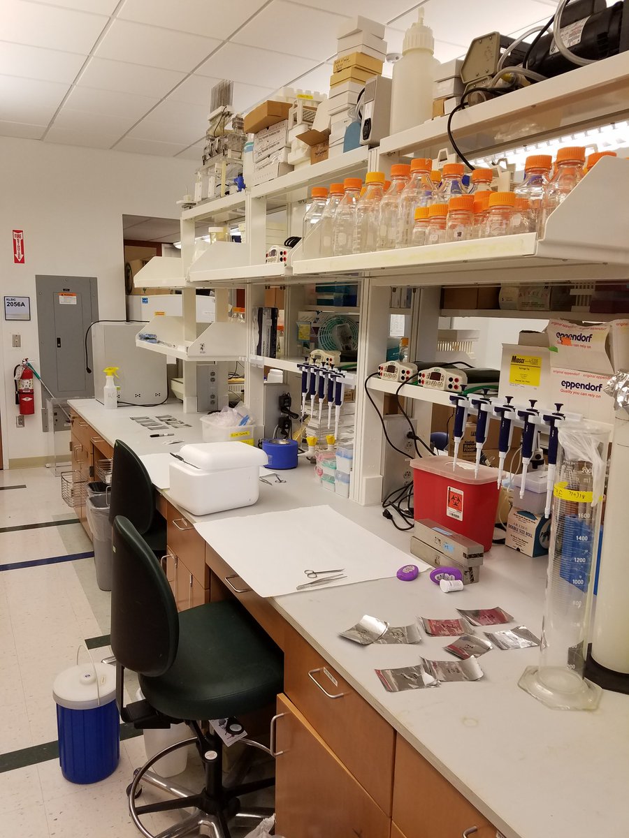 First experiments in the newly minted Morris Lab are set to begin. Thank you to everyone who helped me get here.