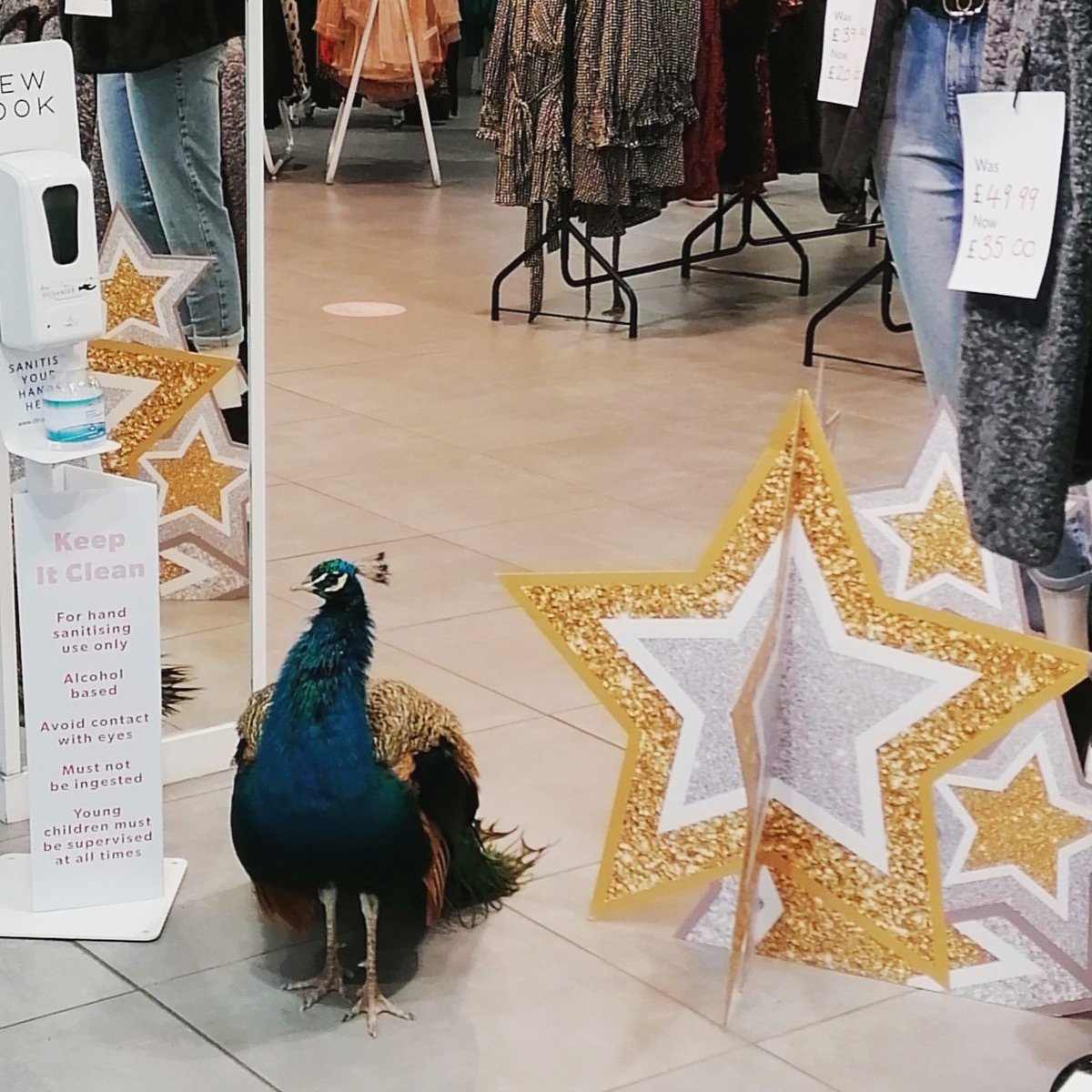 The Bangor Aye tweet media