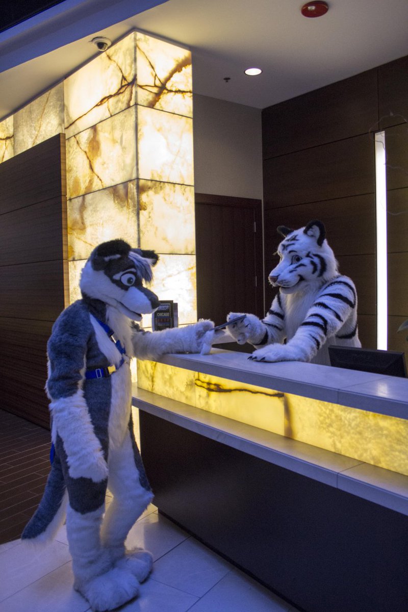 prplhaze's tweet image. Here&apos;s a few pics from 2013 featuring @MysticSoulWolf @BT_ARMISTICE @GaugeMalamute and @dan_raccoon. #mff #mff2020 #MFFMemories