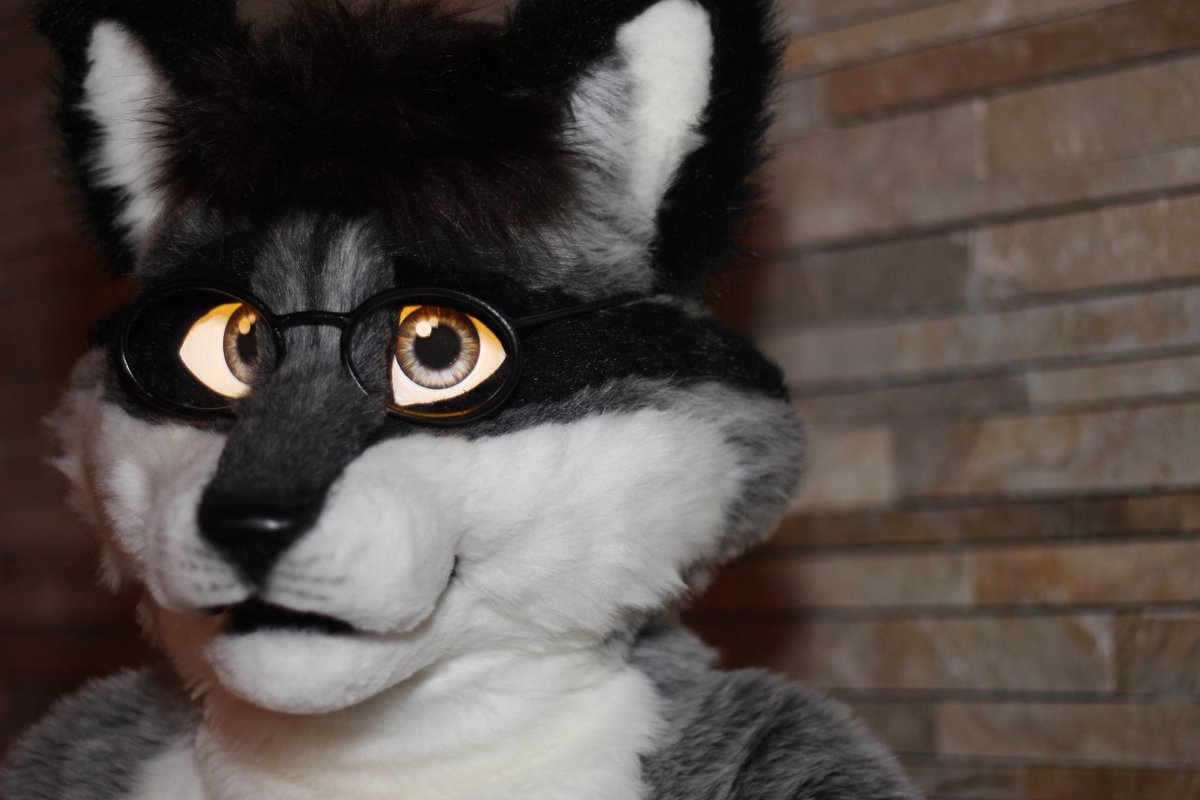 prplhaze's tweet image. Here&apos;s a few pics from 2013 featuring @MysticSoulWolf @BT_ARMISTICE @GaugeMalamute and @dan_raccoon. #mff #mff2020 #MFFMemories