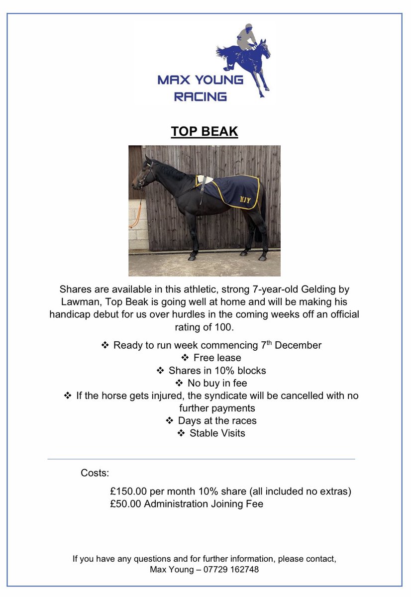 MaxYoungRacing1's tweet photo. Shares available in Top Beak details below ⬇️⬇️⬇️⬇️🏇

He’ll be making his handicap debut for us over hurdles in the coming weeks ⭕️🏇🏇 https://t.co/qcscXan20E