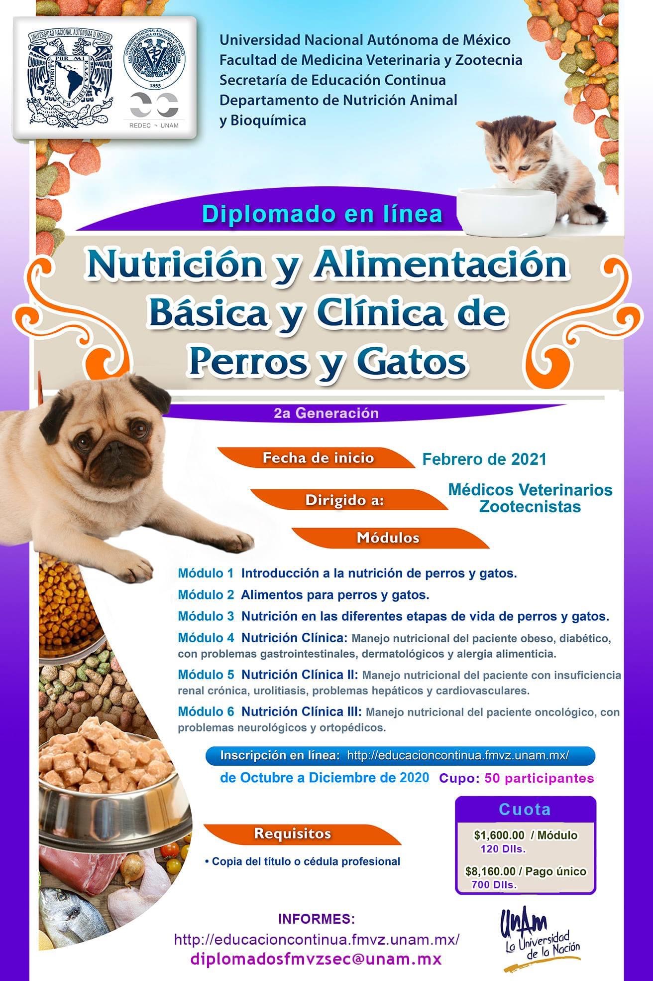 FMVZ UNAM в Twitter: „#Diplomado en línea “Nutrición y Alimentación Básica  y Clínica de perros y gatos” ¡INSCRÍBETE! ???? /ZYg0lDHAFe  /4H5JoMkGpM“ / Twitter