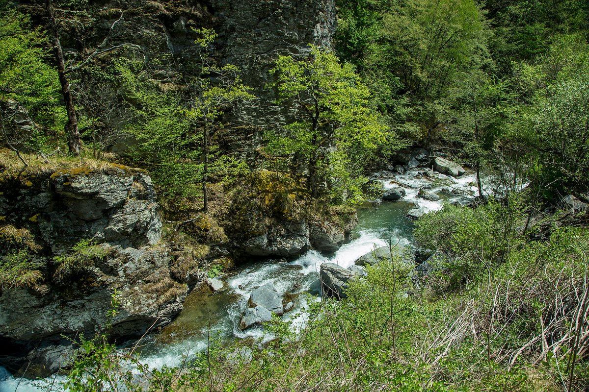 rewild's tweet photo. We are closer to helping #SaveTheBlueHeartofEurope with the news from the Federation of Bosnia and Herzegovina that, starting in 2021, they will stop providing subsidies for small hydropower projects! #BiHRunsFree #jaBiHdatecem https://t.co/brPFkNTn9Y (📷: Amel Emric) https://t.co/I4Rm992Doq