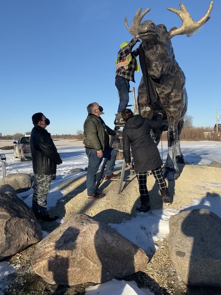 AlisonLubinski's tweet photo. Lundi, Manitoba’s Largest Moose, is modeling safe Covid-19 practice and is wearing a face mask created by a RCI student @RivertonCI @evergreen_sd Thank you RM Bifrost-Riverton for the support! https://t.co/joxVsAdLeV