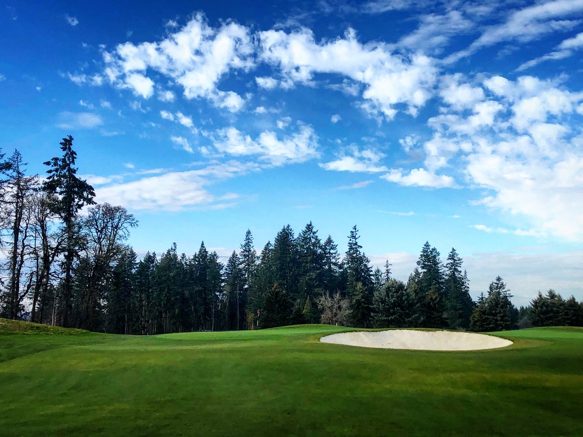 Anthony Congi tweet media