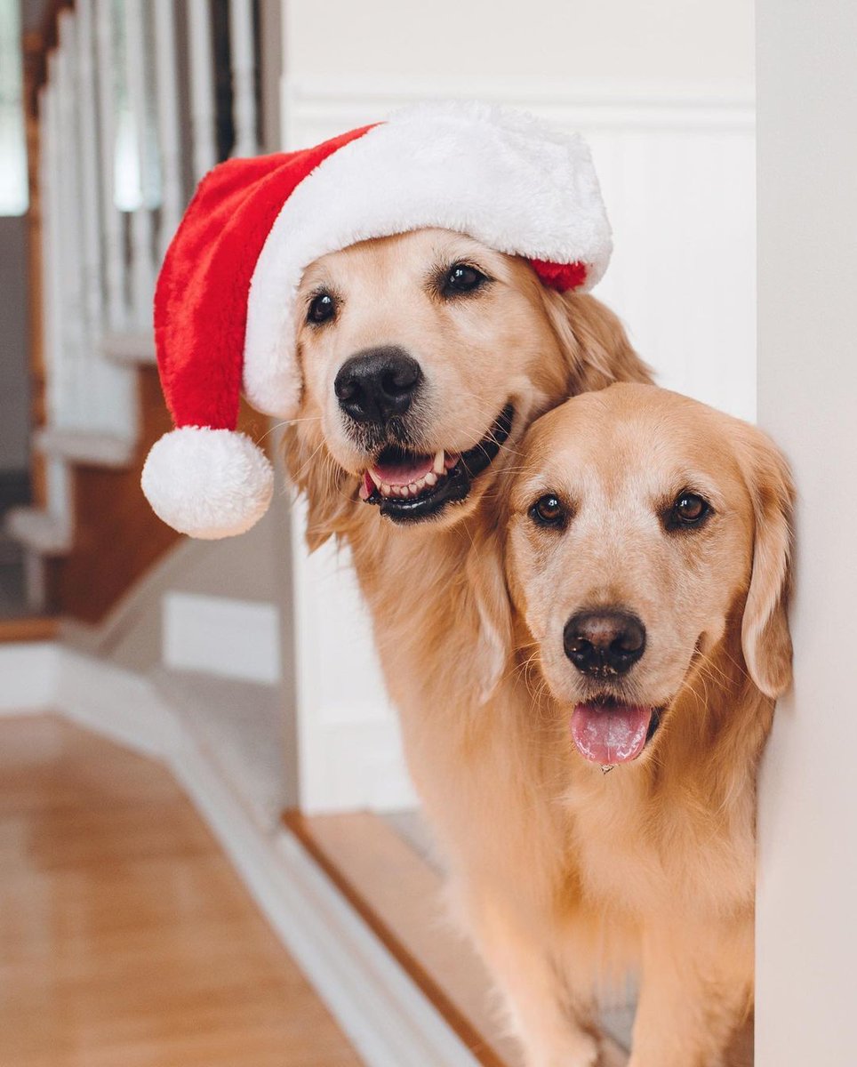 Hi there 👋🏼 Happy December! 🎄🎅🏻 Who else is excited for Christmas?