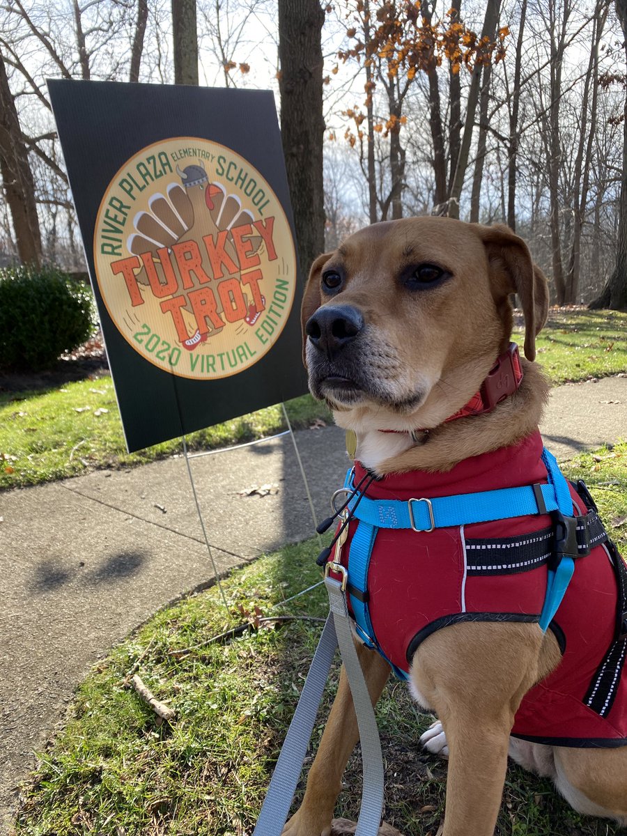 Never too late for a turkey trot @RPPrincipal #RPfamily #RPTurkeyTrot