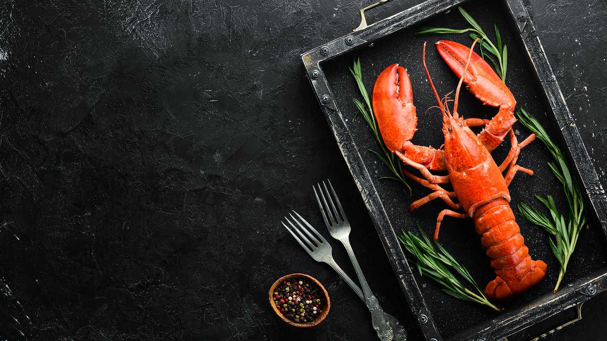 TheBigPrawnCo's tweet photo. Discover our favourite #herbs & #spices to #cook delicious #lobster #dishes > https://t.co/XvxgF4UtED
#LoveSeafood #Seafood #CookingSeafood #Xmas https://t.co/sVPSlAiRNX