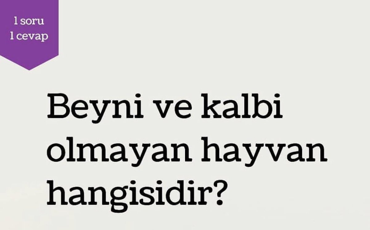 RanaAytas's tweet photo. Eski sevgilim? https://t.co/zLIEBhmJin