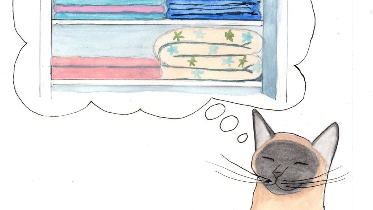 lizvoss1's tweet photo. #PitMad #PB "Latilda Knows Best"
Latilda has found the perfect nursery for her new kittens but convincing her owner Miss May might take some work. https://t.co/xcC8rccHN6