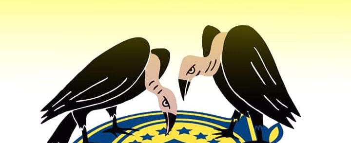 Elecciones ya !!!