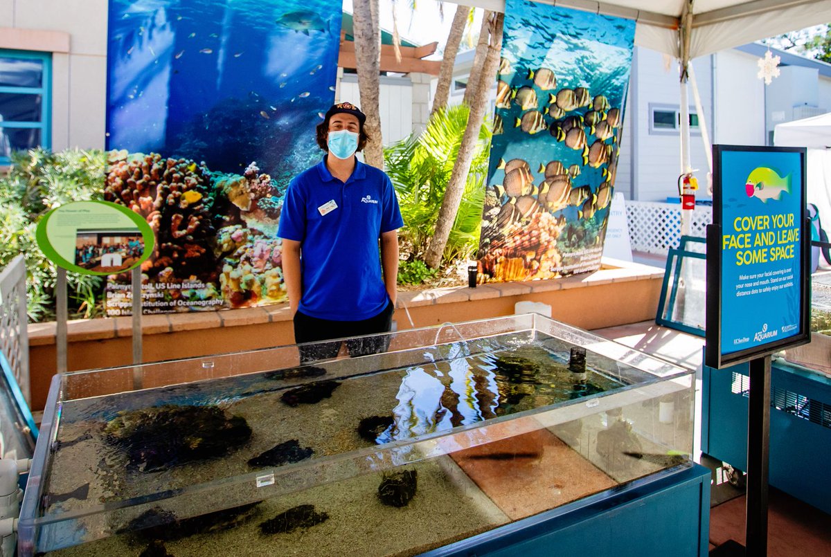Birch Aquarium tweet media