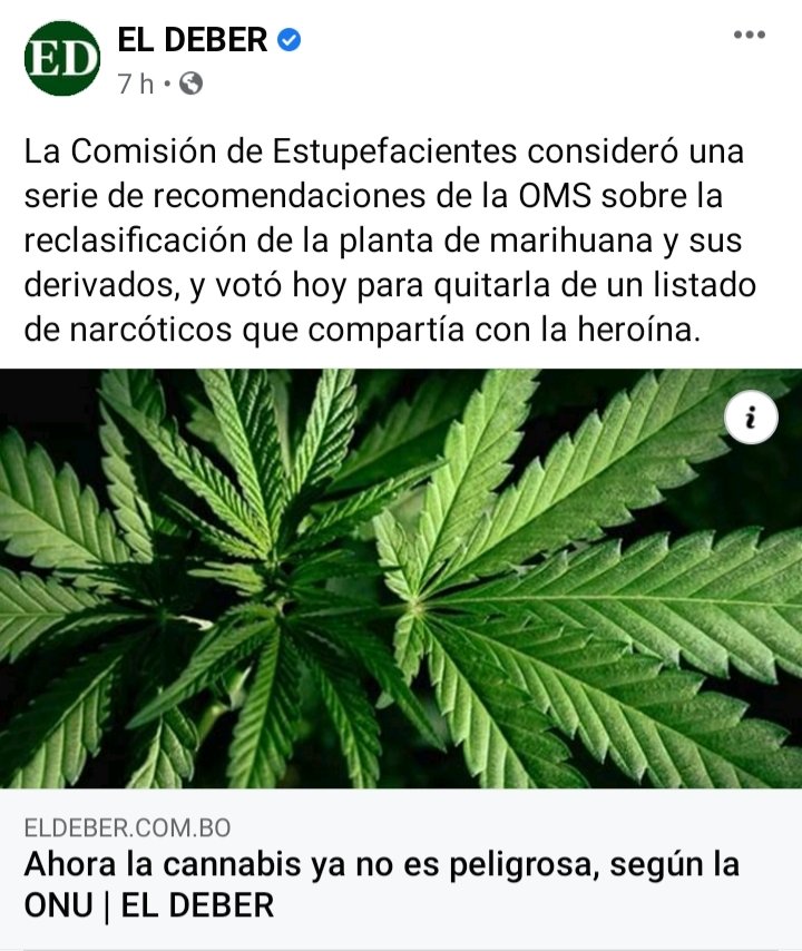 NallarUbaldo's tweet photo. Durante mucho tiempo @grupoeldeber fue uno de los medios más imparciales y objetivos, hoy se ve un retroceso en su manera de presentar avances científicos, con titulares tendenciosos como este.
#Imparcialidad #PrensaLibre #prensaBolivia #pensamientocrítico https://t.co/3oaa4FfrLG