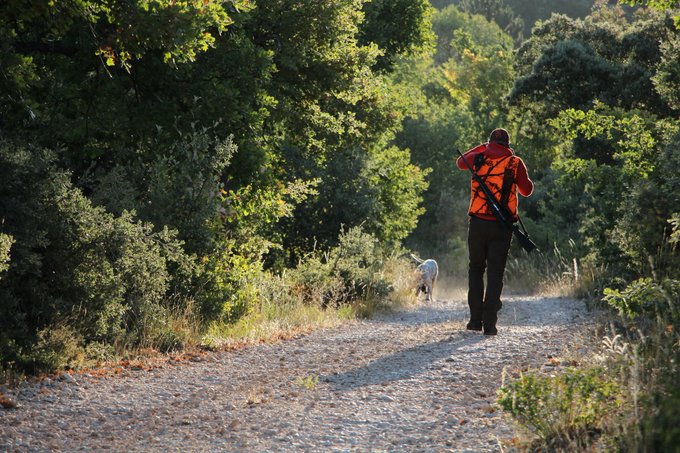 FranceNews24's tweet photo. 🔴 SUIVI - #FaitsDivers : Un chasseur d'une trentaine d'année est en garde à vue après un accident mortel à #Calvignac, dans le Lot (46). Un homme de 25 ans est mort ce Mercredi 2 Décembre, tué par une balle de carabine durant une battue. Le tireur pensait viser un #sanglier. https://t.co/5nvGoJXZDp