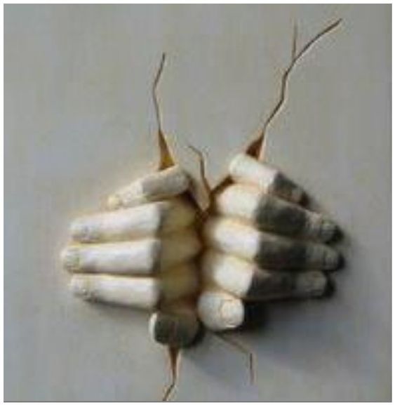 As guerras de religião não acabaram, elas persistem nas múltiplas divisões religiosas e nas discriminações, em nome de Deus, contra as mulheres e gays.
Onaldo