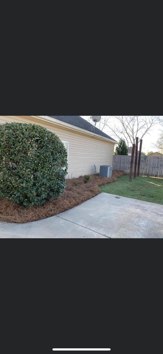 LawnCraig's tweet photo. Did your hedges grow out of control over the summer and fall? Does your pine straw need refreshing? Call Thomas Craig at Craig Lawn Service today for free estimate! 478-302-3192 https://t.co/YhUcNaSILh