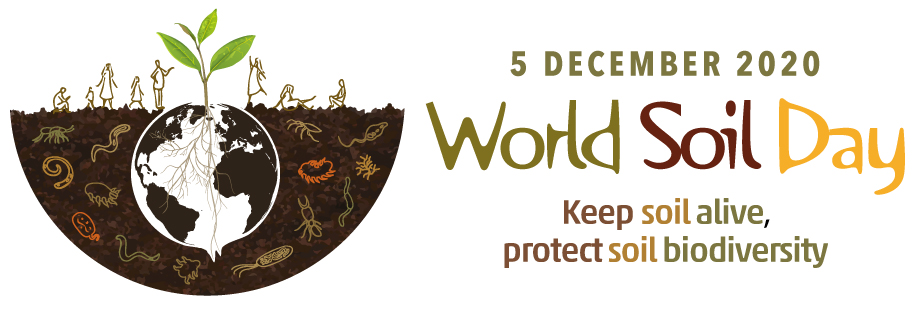 Soilmicrobio's tweet photo. We're super excited in advance of #WorldSoilDay this  Saturday 🎉🥳🍄🦠 This years theme is very close to our heart "keep soil alive, protect #soilbiodiversity". To mark it @teagasc will have an online event throughout the day. Join us celebrating #SoilHealth #SoilMicrobiome https://t.co/AzvotZcnGj