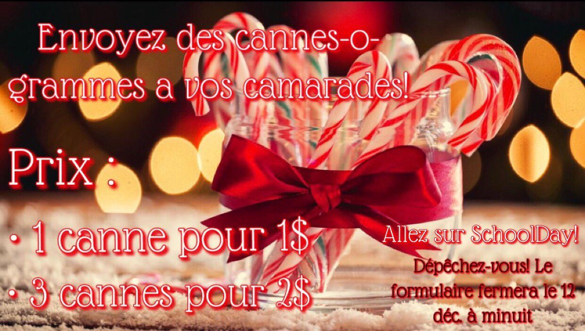 Le conseil des élèves s’active ! #cf #cannesogrammes2020