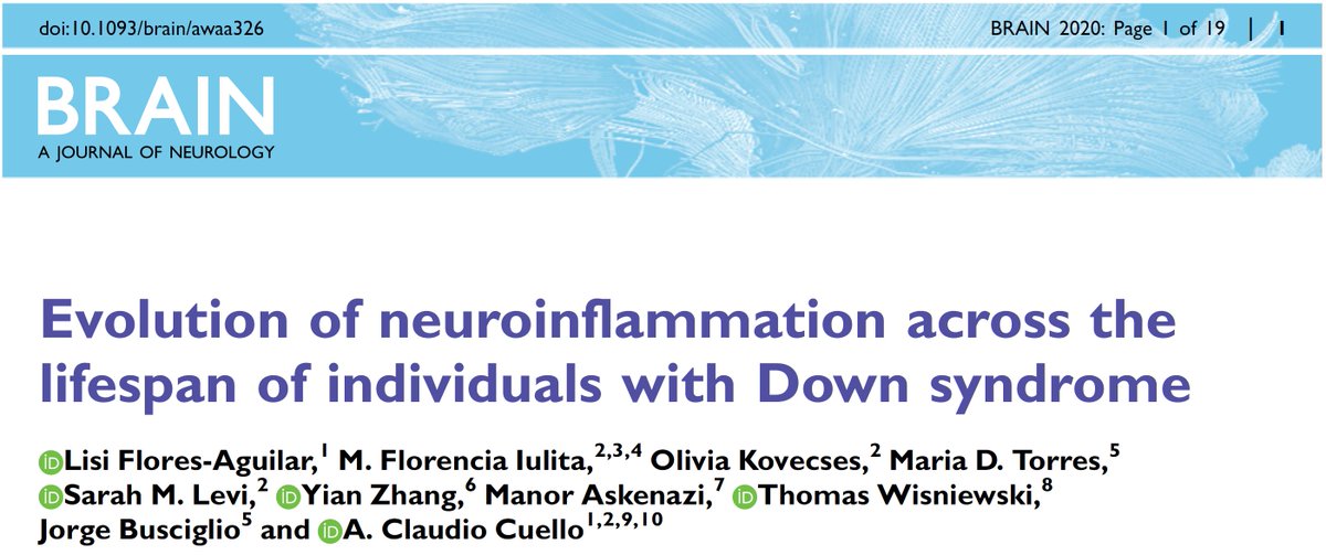 Our paper is out in  @Brain1878! We investigated brain cytokine expression and microglial morphology along the  #Alzheimer’s continuum in people with  #DownSyndrome: from fetal to adult stages  https://doi.org/10.1093/brain/awaa326 @mcgillu  @t21rs  @CdnDownSyndrome  @ISTAART Thread   https://twitter.com/Brain1878/status/1331732396073508865
