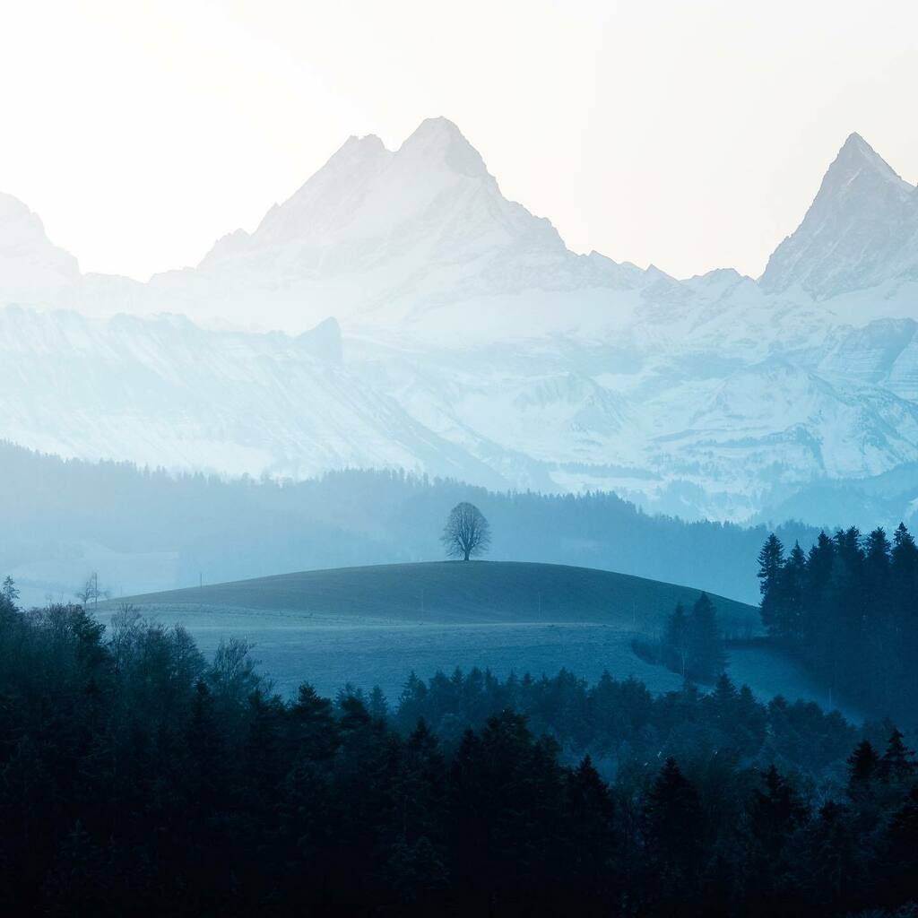 marcelgross_ch's tweet image. Hills of Emmental with Schreckhorn
.
.
.
.
.

#igersbern #igersuisse #emmentalvalley #emmental #berneroberland #alpenliebe #madeinbern #swissnature #schweiztourismus #schweizeralpen #switzerland_destinations #swisslandscape #bestofswitzerland #amazingswi… instagr.am/p/CIV4fdplsR6/
