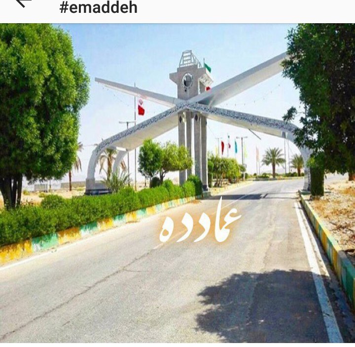 ماجد العباسي tweet media