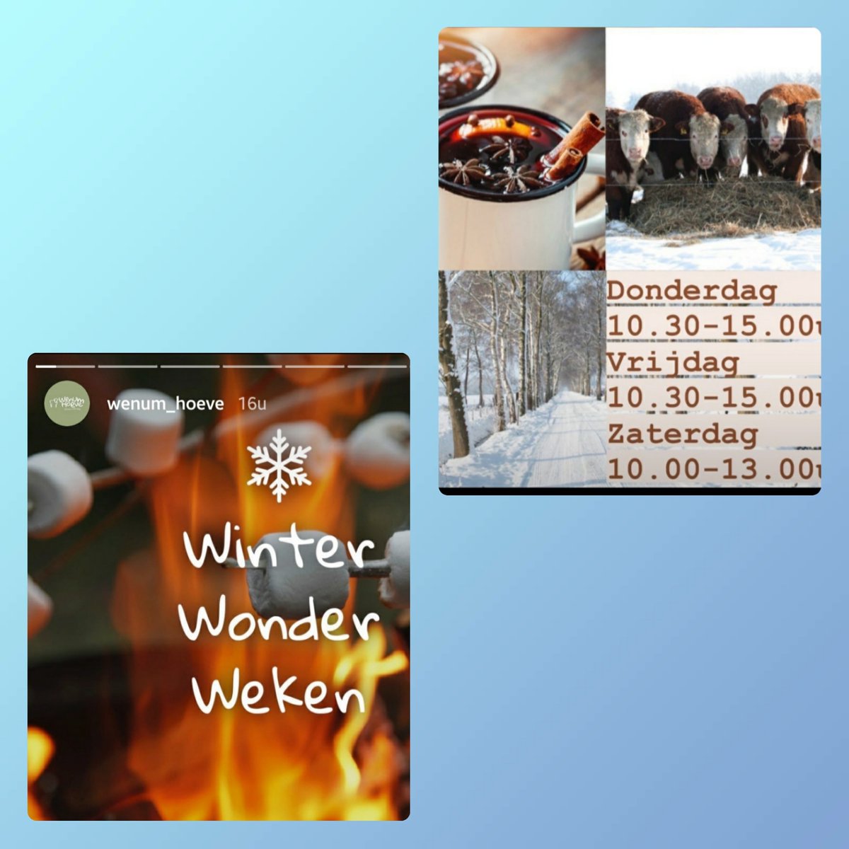 Herenboeren Wenumseveld tweet media