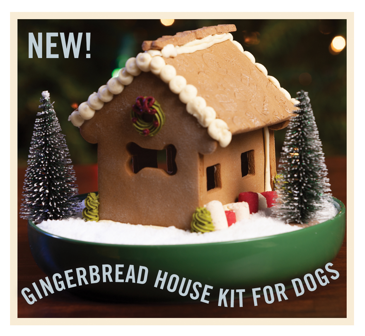 Can Dogs Eat Gingerbread Houses can-dogs-eat-gingerbread-houses