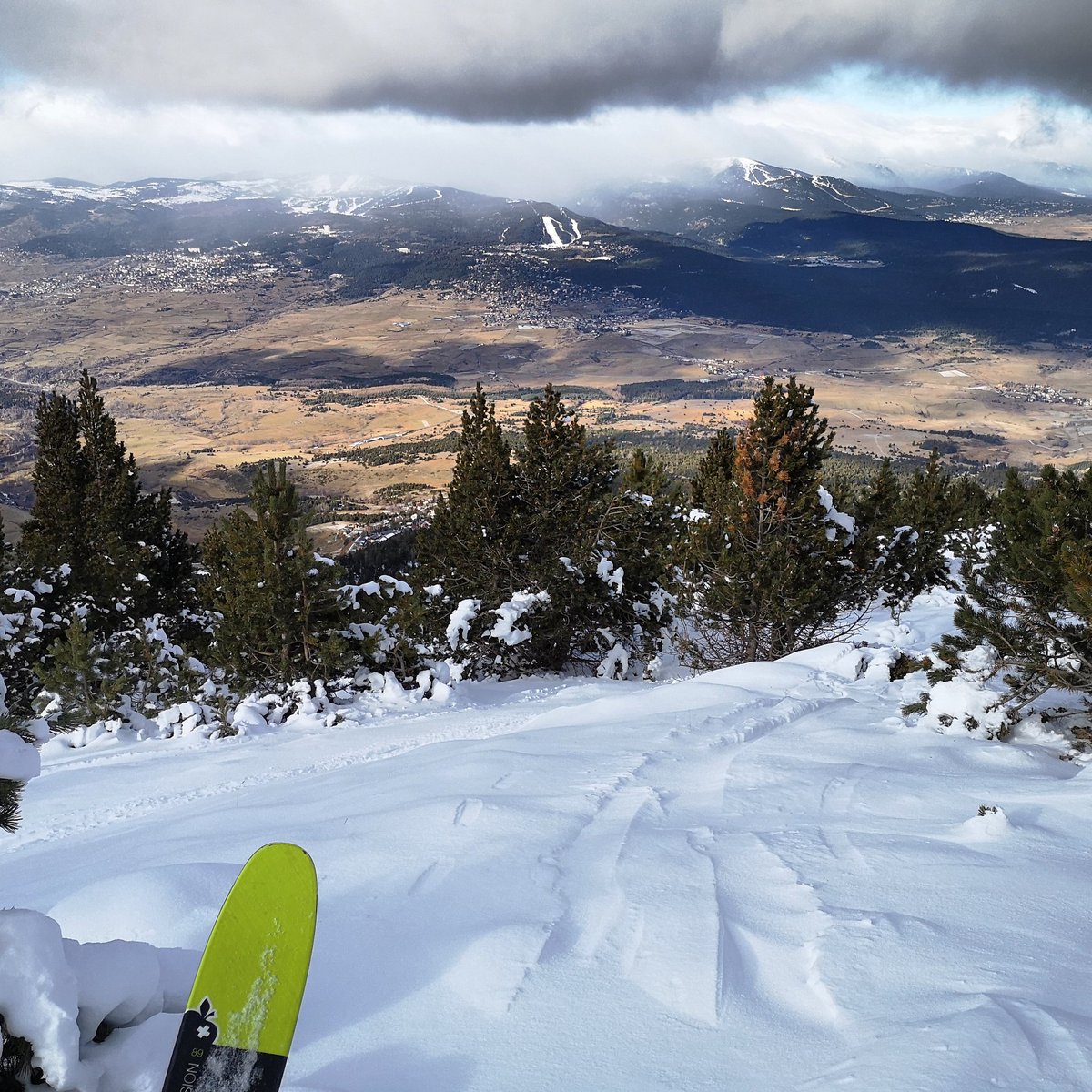 Vincent Thomas tweet media