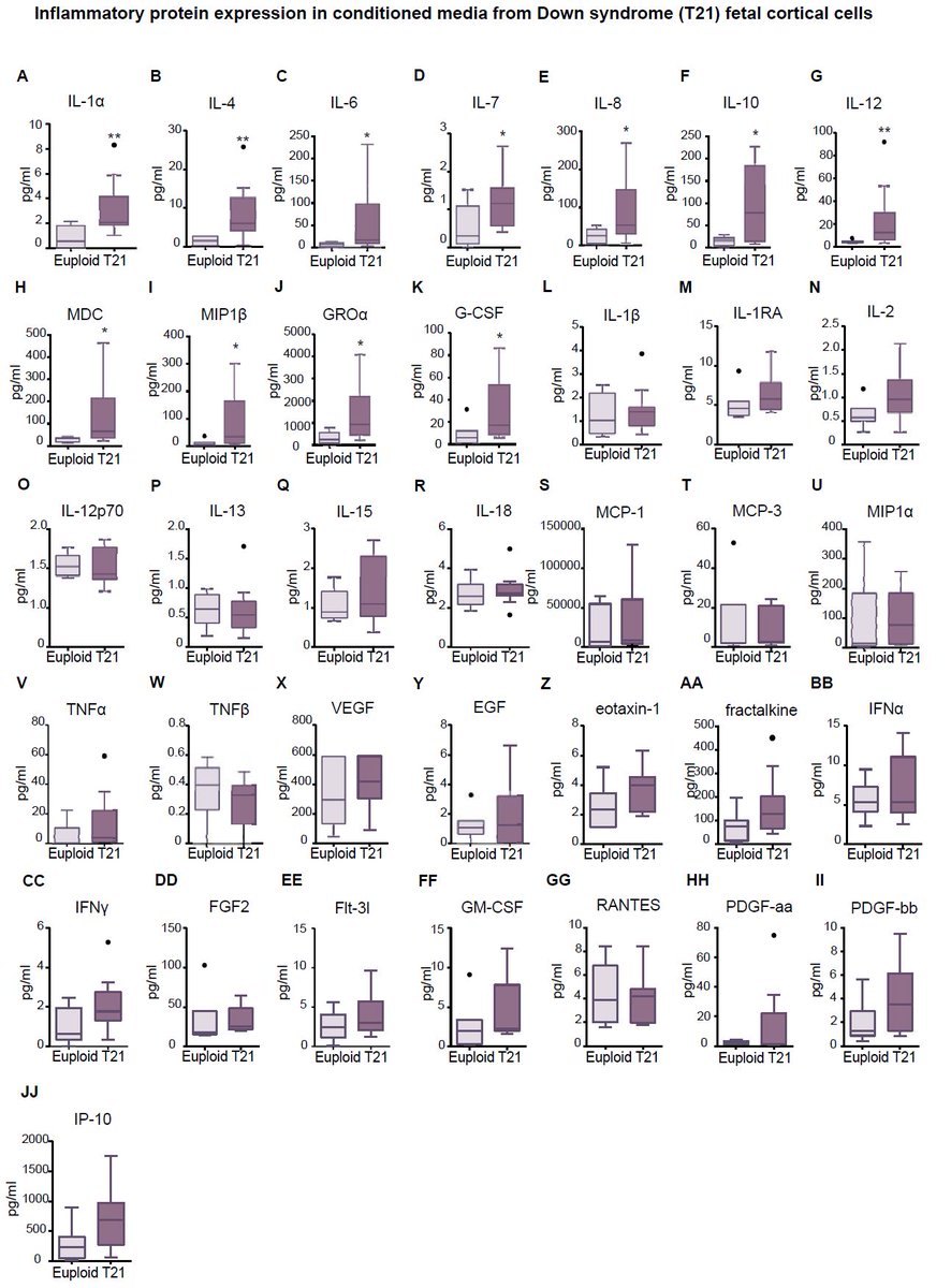 1. We found an increase in inflammatory mediators in the conditioned media of Down syndrome fetal cortical cells
