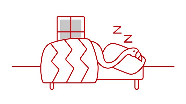 Better Sleep, Better Health
Still time to register!
We could all use this right now.
@WisAlumni #Badgers
https://t.co/C3cvEFQiAn https://t.co/TAxFQajpQk