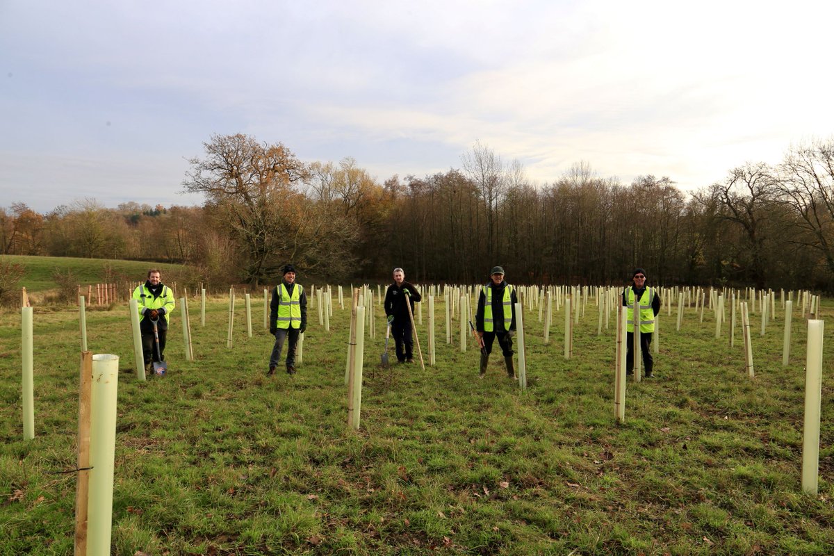 ExploreEssex's tweet photo. Our Country Park staff and local volunteers have been busy planting over 1500 trees at Weald Country Park this #NationalTreeWeek.

This is part of the #EssexForestInitiative.

With thanks to @WoodlandTrust for providing the trees.

#TreeWeek2020  @Essex_CC https://t.co/CxgasrOpqp