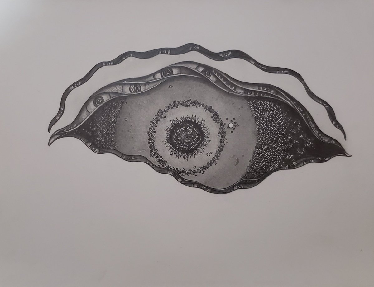 Playing with an idea...
.
.
.
.

#artistsofinstagram #artistsontwitter #artistsoninstagram #artistsoffacebook #myart #myartwork #myarts #pencilartwork #pencildrawing #pencilart #pencilsketch #abstractart #abstractexpressionism #abstract #eye #eyeball #eyeballs #coryknowlesart