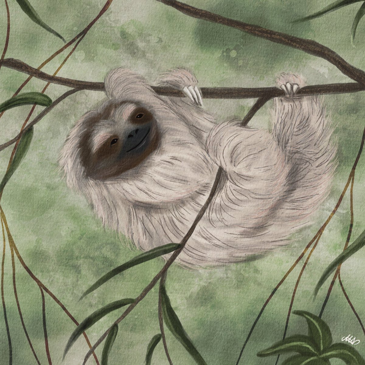 Pygmy Three-toed Sloth
#endangeredanimalsweek 
The smallest of its genus, it can only be found on a small island off the coast of Panama. It lives in the mangroves and avoids predators mostly by camouflaging. Endangered because of habitat destruction
#digitalart #sloth #art