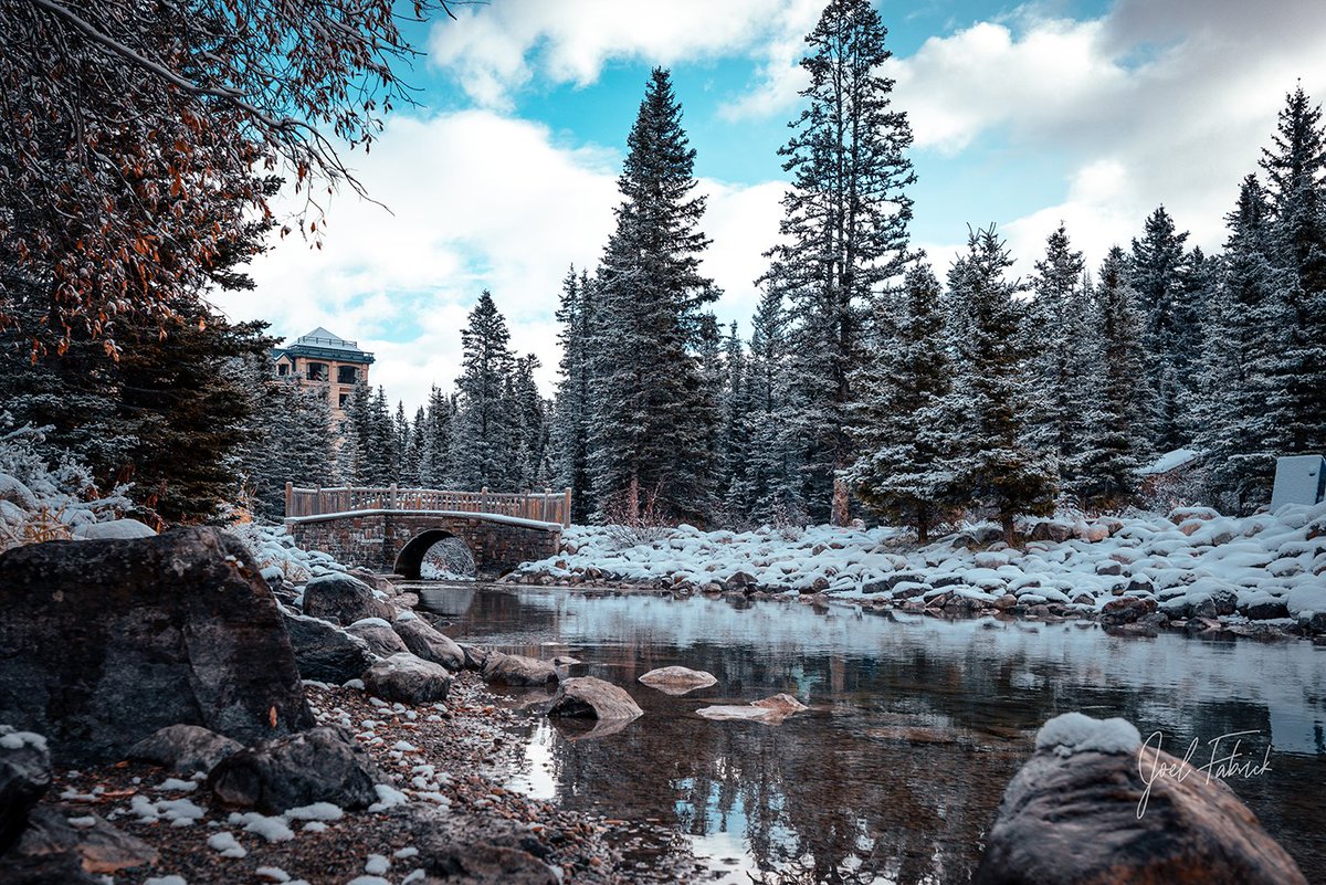 CanaltaLodge's tweet photo. Nature does not hurry, yet everything is accomplished. —Lao Tzu

#slowdown #nature #alberta #canada #albertaphotographer #beauty #canadianrockies #canadagram #albertaparks #amazingviews

📸 badlandsphotography https://t.co/jzBX9IgCht