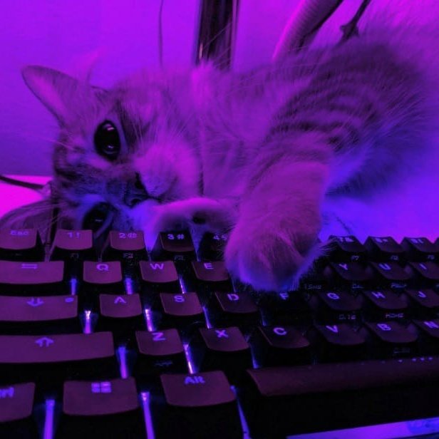 #صورة_ملف_شخصي_جديدة