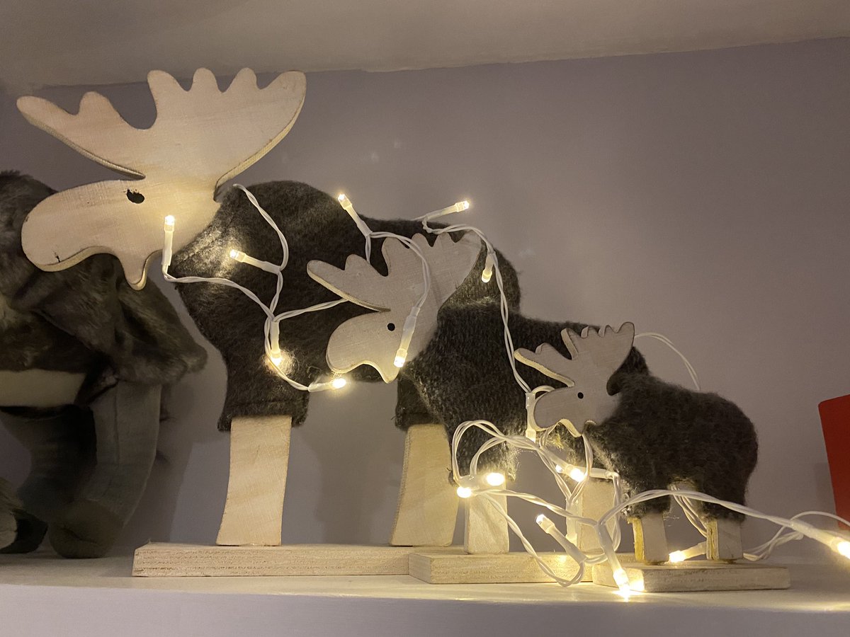 Lights on moose to make them Christmassy