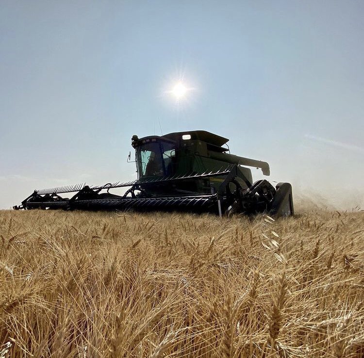 Introducing your #AllAboutHarvest20 contest winners. Thank you to everyone who entered this year and congrats to Brock, Rebecca and Evan! #westcdnag #farming #agtwitter