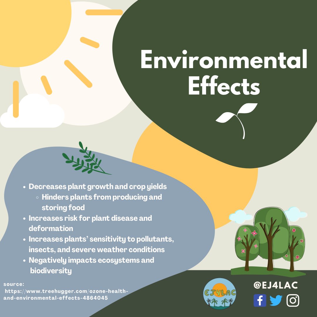 EJ4LAC's tweet photo. Ground-Level Ozone is harmful not only to the environment but your health as well. Swipe to learn more!
#environmentaljustice #groundlevelozone #lacounty

Source: https://t.co/6xriSVImGu https://t.co/HXS3j9IUeA