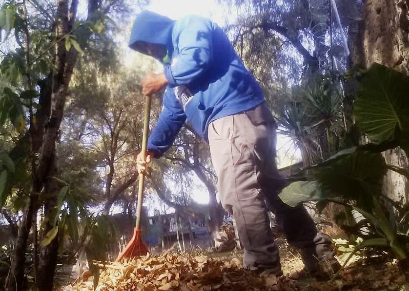 ¡¡¡EN EL INAH EdoMex SEGUIMOS TRABAJANDO!!!
Labores de limpieza en la Zona Arqueológica de Santa Cecilia Acatitlán y Museo de la Escultura Mexica “Eusebio Dávalos Hurtado”; ubicados en Tlalnepantla, Estado de México.
#ContigoEnLaDistancia
#AccionesINAHEdoMex https://t.co/QsxwHWGPqe