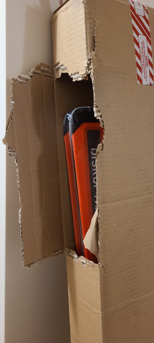 megwilkinson_'s tweet photo. ordered skis for my boyfriend for Christmas &amp; tried everything to make sure they wouldn’t show up at our place when he was home, but look what came. If the ski-length box wasn’t obvious enough....the giant hole doesn’t help #surprise #merrychristmas @PurolatorInc https://t.co/URnklD7Zer