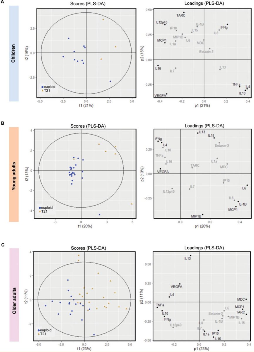 6. Finally, we also did multivariate analyses and found cytokine signatures that distinguish each DS-age group 