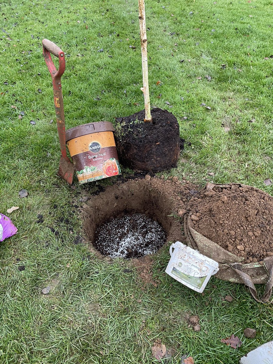MGoddardSwoogel's tweet photo. A busy day planting trees today with my favoured products inc bonemeal and #plantworks #rootgrow #Goddardsgardenservices https://t.co/Qx5OkzjAv2