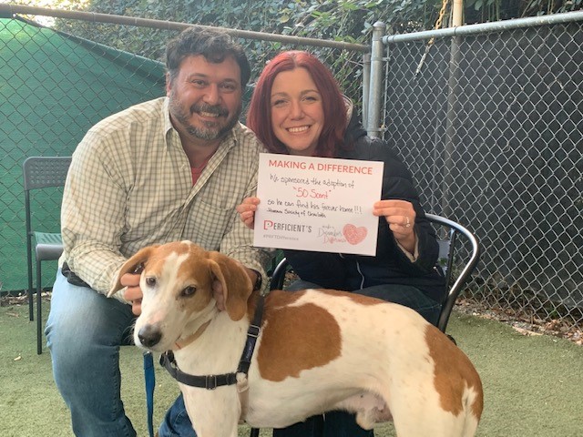 MattKislowski's tweet image. I am working with @Perficient and @humanecharlotte to get 50 Scent adopted into a forever home this holiday season and need your help! All adoption fees are taken care of for his lucky owners. RT to help 50 Scent! humanesocietyofcharlotte.org/adoption/adopt… #PRFTDifference #Charlotte #givingback