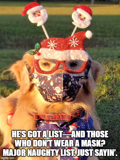 He’s got a list—and those who DON’T #WearAMask? Major Naughty List. Just sayin’.
#MasksSaveLives #SocialDistancing #washyourhands #AvoidCrowds #facemask #COVID19 #coronavirus #GRC #SantaClaus #Santa #Christmas #foodallergies #dogsoftwitter https://t.co/Av7t1tQgk4