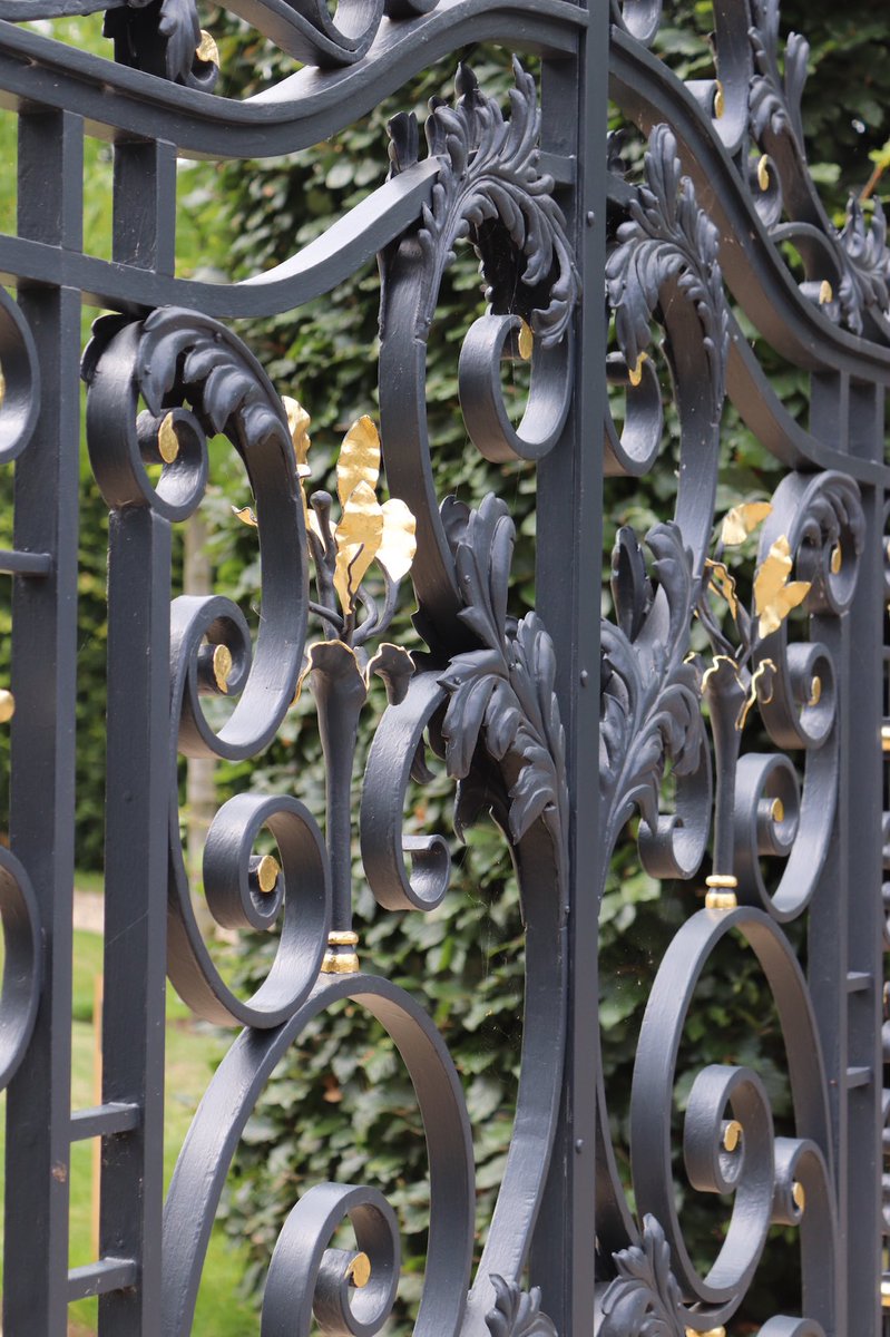 Hall Conservation tweet media