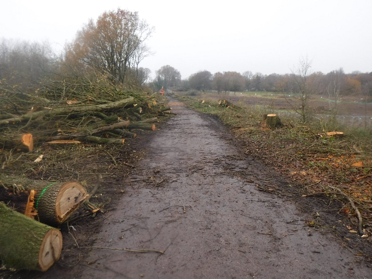DavidMartinCSP's tweet photo. HS2 environmental destruction in Kenilworth. https://t.co/QjLGSRULGq