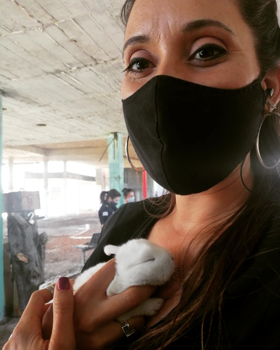 Verónca Chevalier estará desde un nuevo emprendimiento en la Cárcel de Mujeres vinculado a la cría de conejos. ¿Se animan a ponerle nombre?